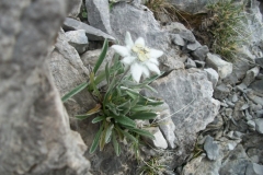 trekking-delle-dolomiti-del-brenta-179